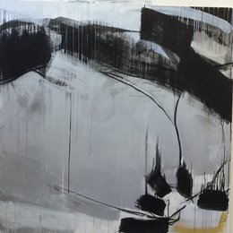 Silver Landscape 2017 – 2018